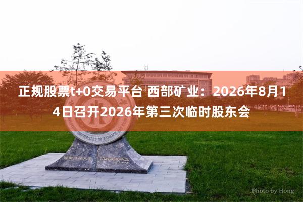 正规股票t+0交易平台 西部矿业：2026年8月14日召开2026年第三次临时股东会