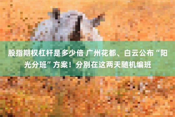 股指期权杠杆是多少倍 广州花都、白云公布“阳光分班”方案!分别在这两天随机编班