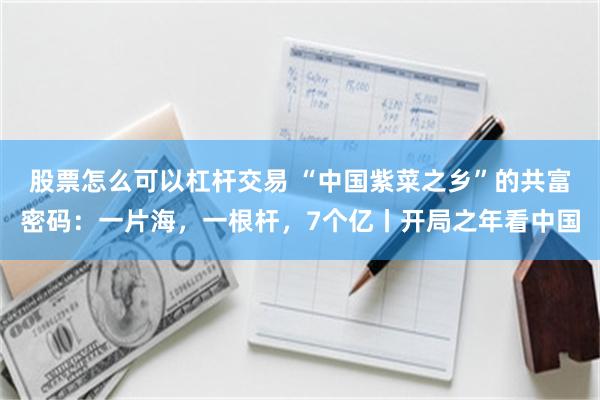 股票怎么可以杠杆交易 “中国紫菜之乡”的共富密码：一片海，一根杆，7个亿丨开局之年看中国