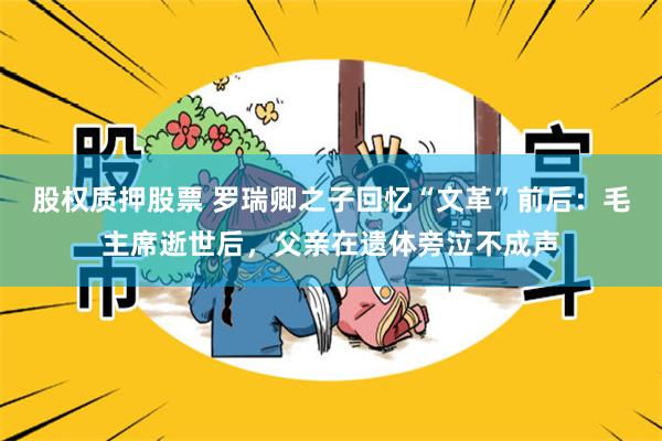 股权质押股票 罗瑞卿之子回忆“文革”前后：毛主席逝世后，父亲在遗体旁泣不成声