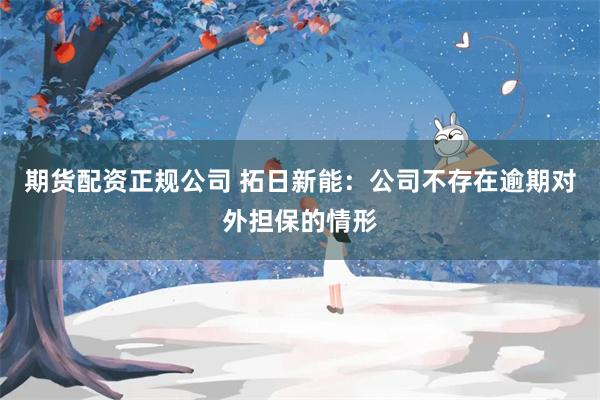 期货配资正规公司 拓日新能：公司不存在逾期对外担保的情形