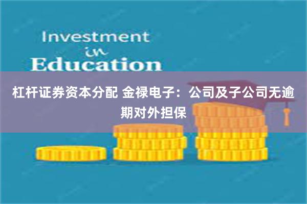 杠杆证券资本分配 金禄电子：公司及子公司无逾期对外担保