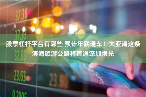 股票杠杆平台有哪些 预计年底通车！大亚湾这条滨海旅游公路将直通深圳坝光