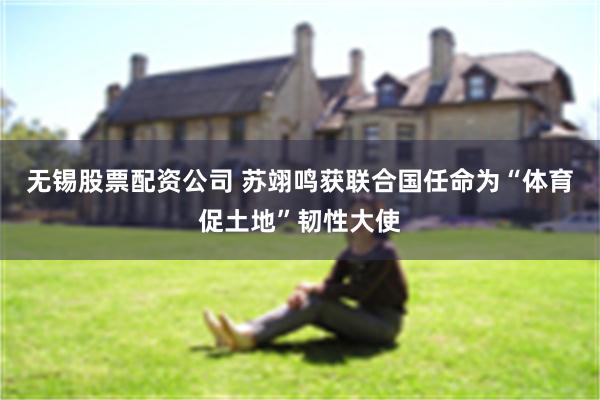 无锡股票配资公司 苏翊鸣获联合国任命为“体育促土地”韧性大使
