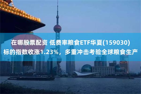 在哪股票配资 低费率粮食ETF华夏(159030)标的指数收涨1.23%，多重冲击考验全球粮食生产