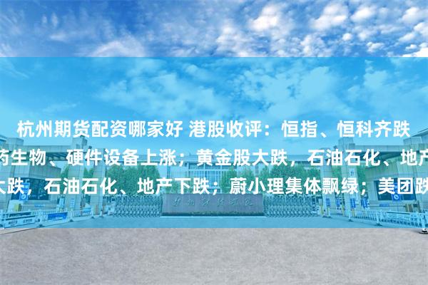 杭州期货配资哪家好 港股收评：恒指、恒科齐跌；半导体午后拉涨，医药生物、硬件设备上涨；黄金股大跌，石油石化、地产下跌；蔚小理集体飘绿；美团跌超6%