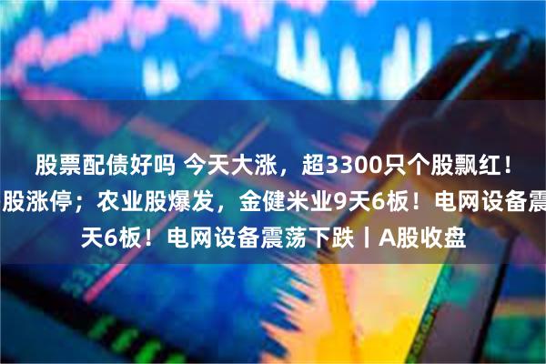 股票配债好吗 今天大涨，超3300只个股飘红！存储芯片走强，多股涨停；农业股爆发，金健米业9天6板！电网设备震荡下跌丨A股收盘