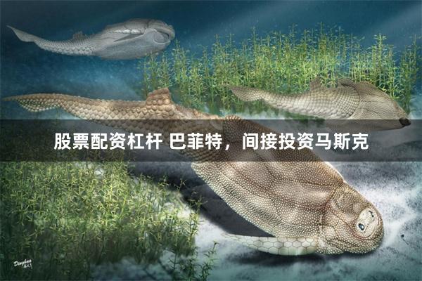 股票配资杠杆 巴菲特，间接投资马斯克