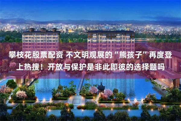 攀枝花股票配资 不文明观展的“熊孩子”再度登上热搜！开放与保护是非此即彼的选择题吗