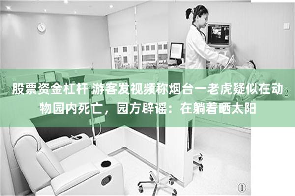 股票资金杠杆 游客发视频称烟台一老虎疑似在动物园内死亡，园方辟谣：在躺着晒太阳