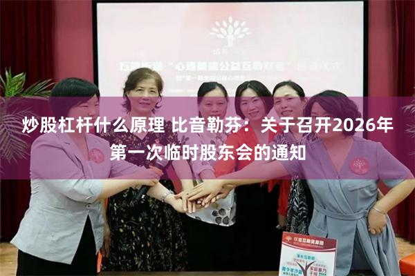 炒股杠杆什么原理 比音勒芬：关于召开2026年第一次临时股东会的通知