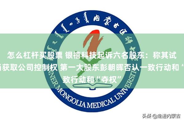 怎么杠杆买股票 银禧科技起诉六名股东：称其试图不当获取公司控制权 第一大股东彭朝晖否认一致行动和“夺权”