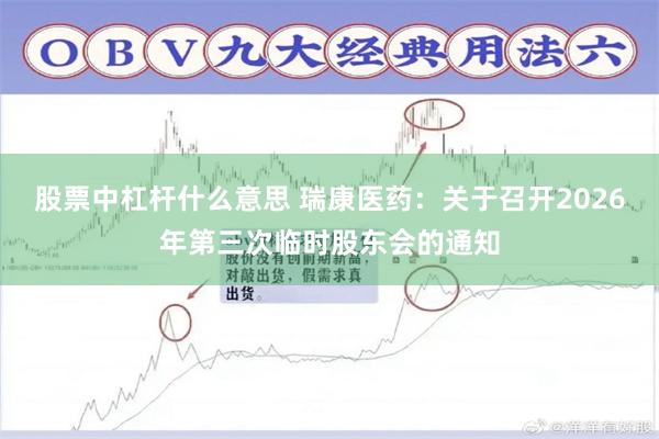 股票中杠杆什么意思 瑞康医药：关于召开2026年第三次临时股东会的通知
