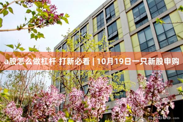 a股怎么做杠杆 打新必看 | 10月19日一只新股申购