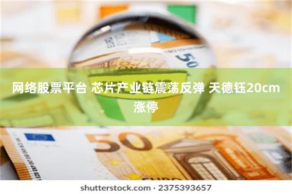 网络股票平台 芯片产业链震荡反弹 天德钰20cm涨停